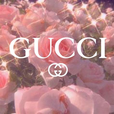 gucci logo in pink|gucci logo pink wallpaper.